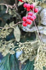 Frosted red Christmas berries on the Christmas tree