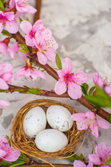Spring conceptual photo with flowers. Flat lay blooming tree, easter eggs. The tree blooms pink and the eggs in the nest and copy space.