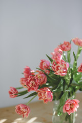 Pink peony tulips in a glass jar.