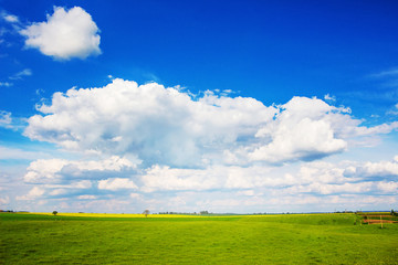 Picturesque summer landscape with white clouds in blue sky over field with green grass_