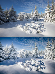 Beautiful view of fairy-tale woodland. Images before and after.