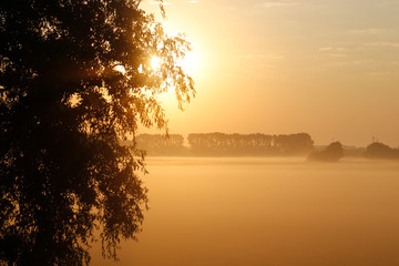 Fototapeta na wymiar Moody sunrise in front of a forest