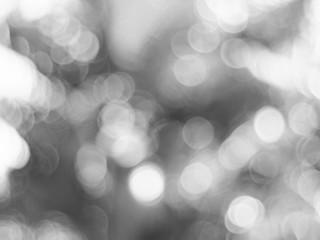 Beautiful nature bokeh background. Abstract blurred background. 