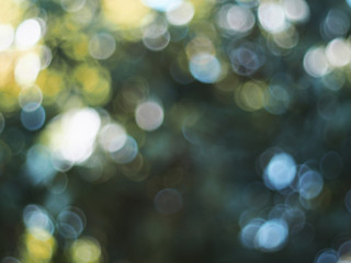 Beautiful nature green bokeh background. Natural bokeh. Abstract blurred background. 