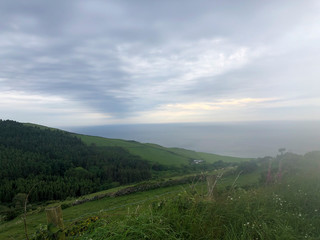 Fototapeta premium Roby