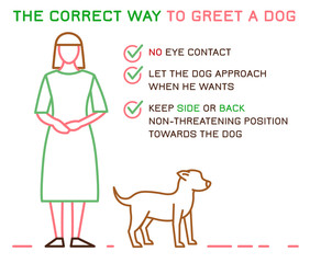 Dog and people behavior icon