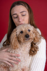 Selective focus of girl holding dog isolated on red background