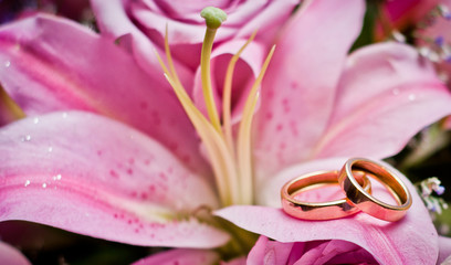 Image of wedding rings over pink lily