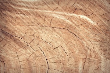 texture of wood