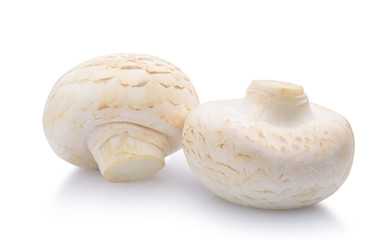 Two champignon mushroom isolated on white