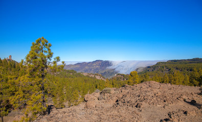 Gran Canaria, January