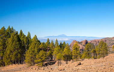 Gran Canaria, January