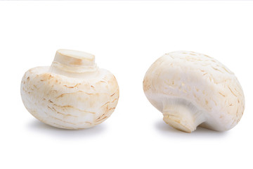 Two champignon mushroom
