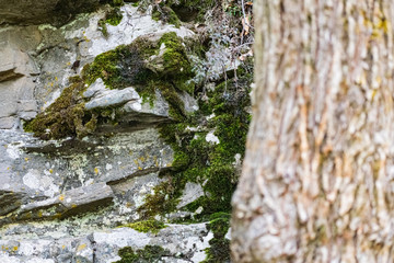 Zaitsev rocks in the Rostov region in Krasnosulinsky district, stone natural structures of large...