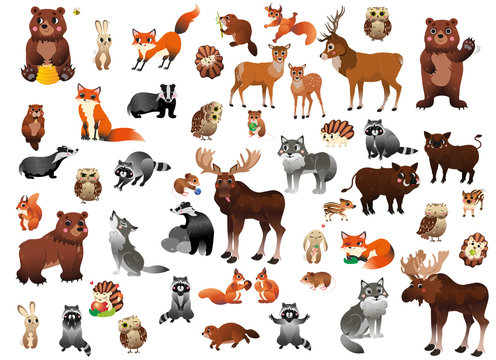 Big cartoon forest animals vector set for children. Mega collection of animals in different postures for kids. Isolated on white background