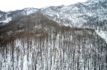 winter mountain landscape with snow