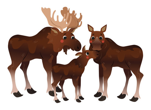 Cute cartoon moose family vector image. Male and female mooses with little moose. Forest animals for kids. Isolated on white background
