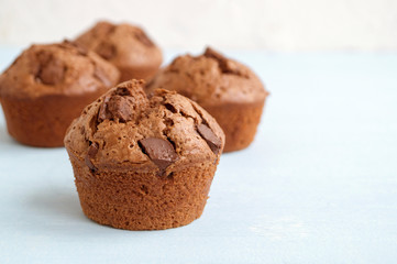 chocolate cupcakes with chocolate pieces on a light background.