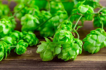 Fresh green hops on a wooden table.
