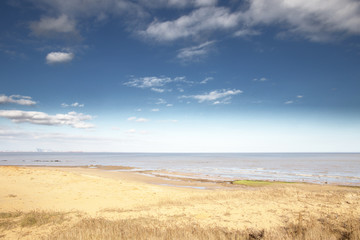 Fototapeta na wymiar sandy beach in essex