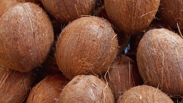 many coconuts for food texture