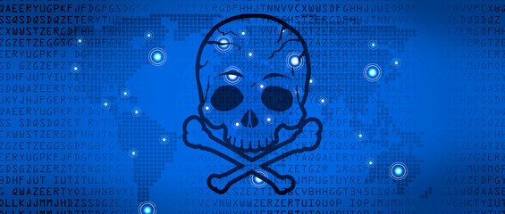 Computer code on a screen with a skull