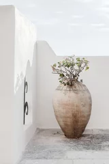 Schöne Vase mit Blumenschatten an der Wand. Kreatives, minimales, gestyltes Konzept für Blogger. © Pixasquare