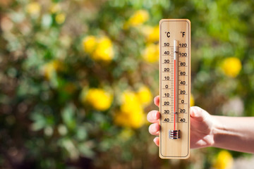 Thermometer beside trees with yellow flowers. Weather forecast and summer concept - obrazy, fototapety, plakaty