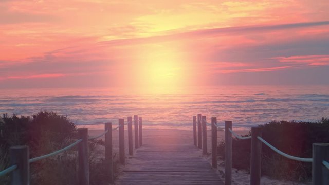 Beautiful tropical wooden beach way, summer landscape