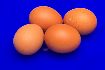 Chicken eggs, raw eggs freshly picked from the farm