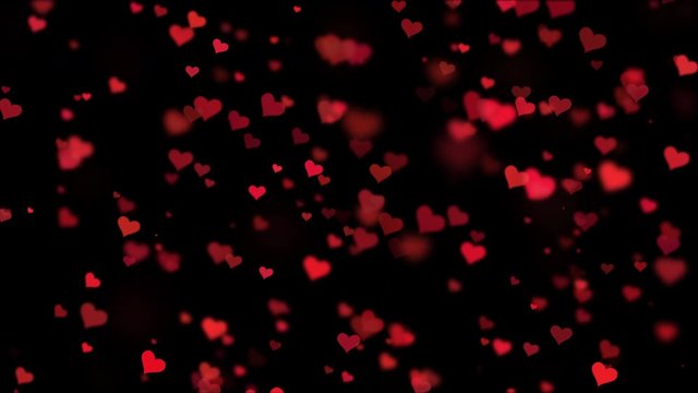Red hearts particle emotion fade in bokeh floating on black screen background. Icon confetti and abstract particle for decoration template element. Happy Valentines Day 4K VFX wallpaper. Seamless loop