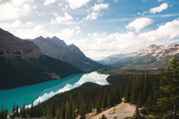 Beautiful Lake Peyto in the Canadian Rocky Mountains during Clear Summer Weather