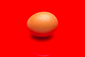 Chicken eggs, raw eggs freshly picked from the farm