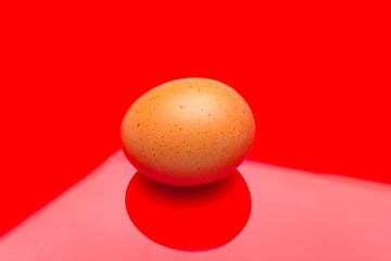 Chicken eggs, raw eggs freshly picked from the farm