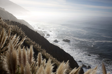 big sur coast