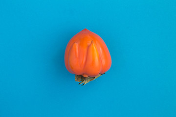 Ugly food. Ugly persimmon  in the center of the blue background. Top view. Copy space.