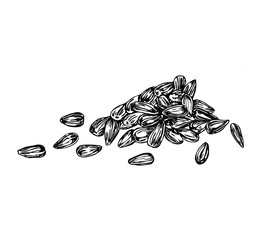 Sunflower seeds in line art style.