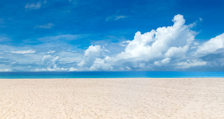  tropical beach in Sri Lanka. sea landscape
