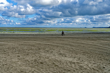  Cheval sur Plage , C&ocirc;tes-d&rsquo;Armor, Bretagne, France