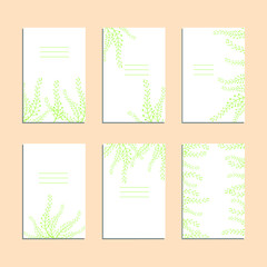 Collection of vector template label, visit cards, square greeting cards and banners with home plants, wild flowers and herbs.Business set of design templates Layout, mockup design for cosmetics.