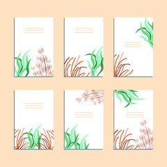 Collection of vector template label, visit cards, square greeting cards and banners with home plants, wild flowers and herbs.Business set of design templates Layout, mockup design for cosmetics.