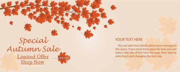 Fototapeta na wymiar autumn sale banner decorative with autumn leaves, vector illustration