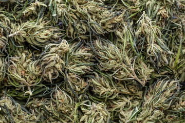 Background of flower buds cannabis, marijuana, weed top view copy spase close up,CBD Macro a cannabis flower and marijuana macro