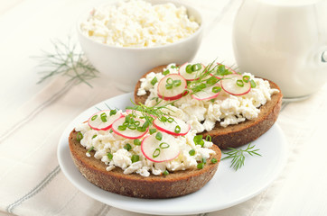 Fototapeta na wymiar Appetizer with curd cheese, radish and green onion on white plate