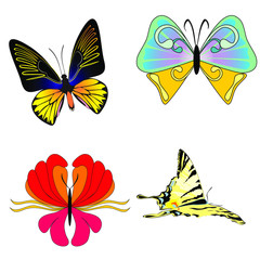 Obraz na płótnie Canvas Colorful Butterfly Pack, Set of beautiful butterfly with wings, Abstract Wings Color, Abstract animal color pack, isolation butterfly object illustration. Vector