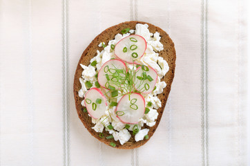 Bread with curd cheese, radish and green onion