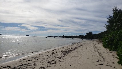 Plages et bords de mer au Seychelles