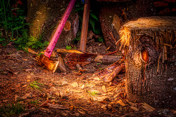 Fototapeta premium splitting maul and logs in my yard in Upstate NY