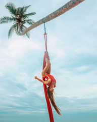 female aerialist in red swimsuit makes tricks on the red airsilk on the palm tree on the sky background in Sri Lanka, sport art concept, free space	