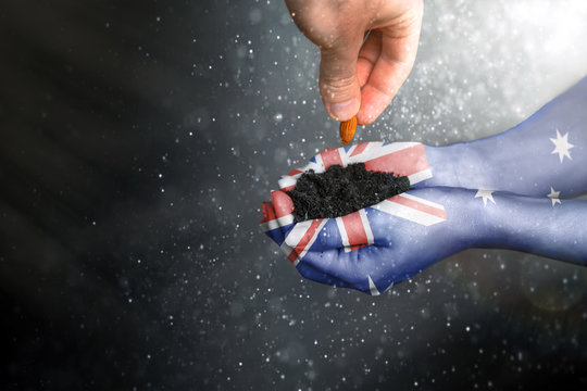Pray For Australia. Women's hands painted in the flag of Australia hold the soil in which a man's hand plants a seed. Planting forests concept. Copy space. Black background with dust